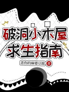 《破洞小木屋求生指南》官方封面