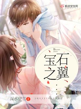 《宝石之翼》官方封面