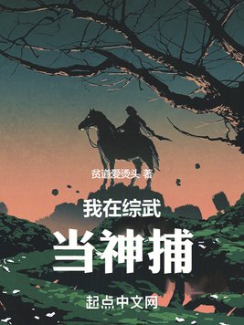 《我在综武当神捕》官方封面