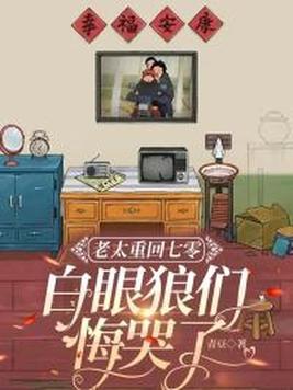 《老太重回七零：白眼狼们悔哭了》官方封面