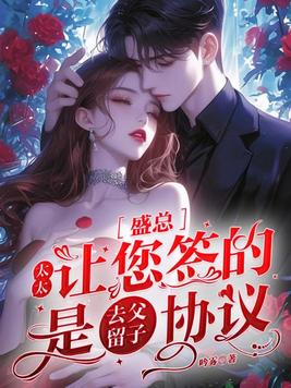 《盛总，太太让您签的是去父留子协议》官方封面