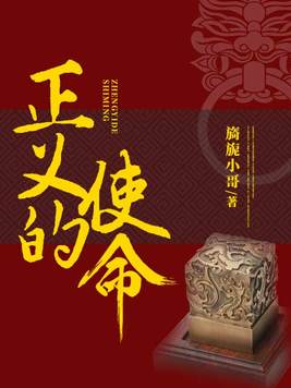 《正义的使命》官方封面