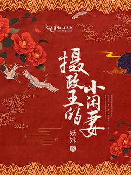 《摄政王的小闲妻》官方封面