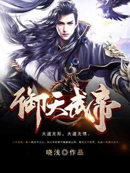 《御天武帝》官方封面