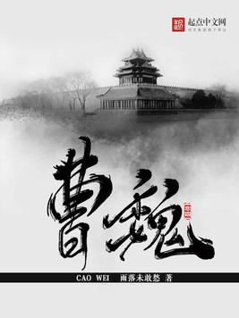 《曹魏》官方封面