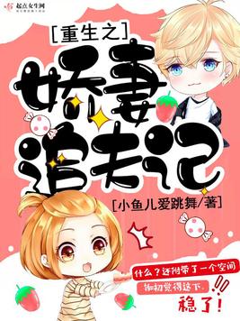 《重生之娇妻追夫记》官方封面
