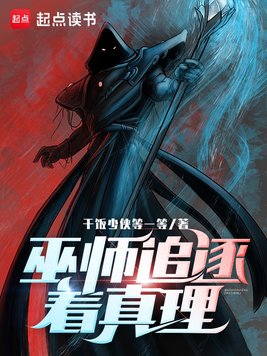 《巫师追逐着真理》官方封面