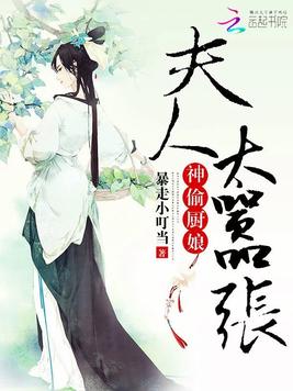 《穿越之神偷厨娘》官方封面
