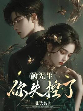 《鹤先生，你失控了》官方封面