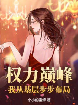 《权力巅峰：我从基层步步布局》官方封面