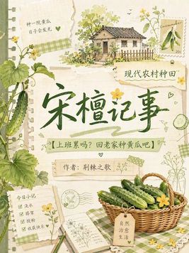 《宋檀记事》官方封面