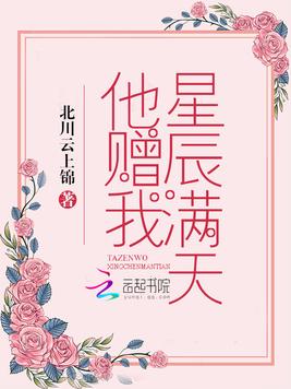 《他赠我星辰满天》官方封面