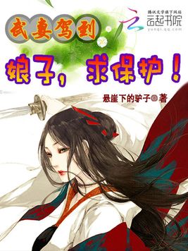 《武妻驾到：娘子，求保护！》官方封面