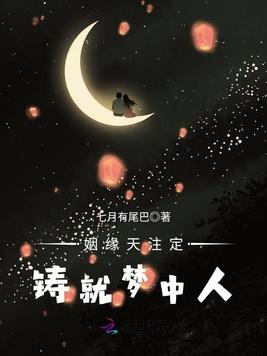 《姻缘天注定,铸就梦中人》官方封面