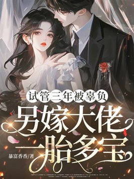《试管三年被辜负，另嫁大佬一胎多宝》官方封面