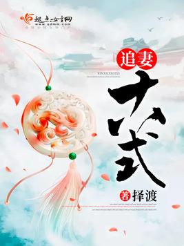 《追妻十八式》官方封面