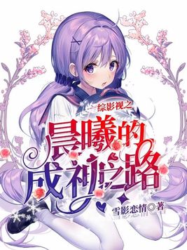 《综影视之晨曦的成神之路》官方封面
