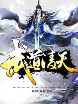 《武道凌天》官方封面
