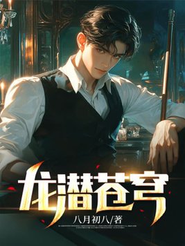 《龙潜苍穹》官方封面