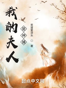 《我的夫人是神捕》官方封面