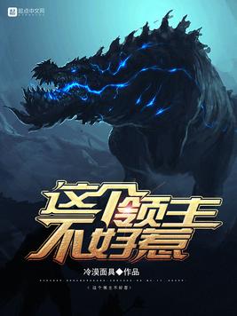 《这个领主不好惹》官方封面