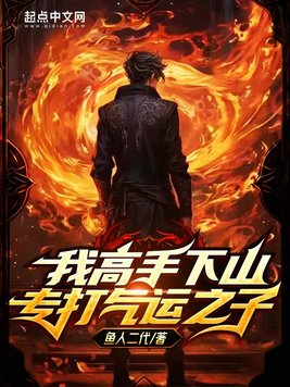 《我高手下山专打气运之子》官方封面