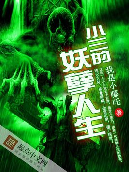 《小三的妖孽人生》官方封面
