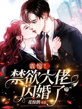 《震惊！禁欲大佬闪婚了》官方封面