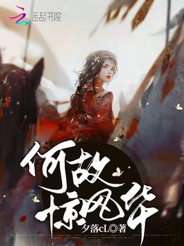 《何故惊风华》官方封面