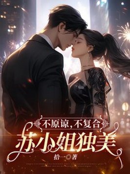 《不原谅,不复合,苏小姐独美》官方封面