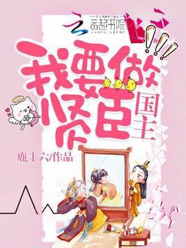 《我要做贤臣》官方封面
