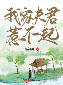 《我家夫君惹不起》官方封面