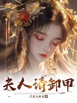 《夫人请卸甲》官方封面