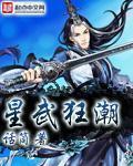 《星武狂潮》官方封面