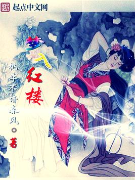 《梦入红楼》官方封面