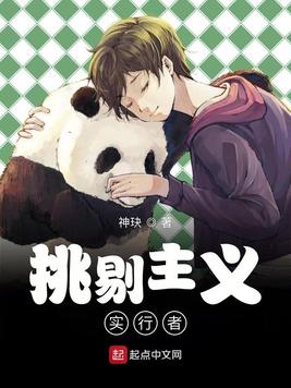 《挑剔主义实行者》官方封面