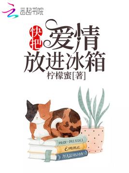 《快把爱情放进冰箱》官方封面