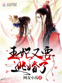 《王妃又要逃婚了》官方封面
