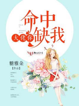 《大佬你命中缺我》官方封面