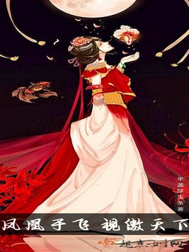 《凤凰于飞,视傲天下》官方封面