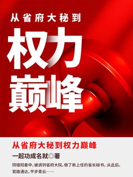 《从省府大秘到权力巅峰》官方封面