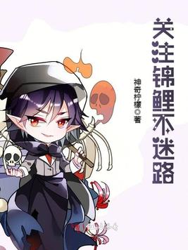 《关注锦鲤不迷路》官方封面