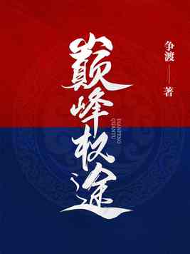 《巅峰权途》官方封面
