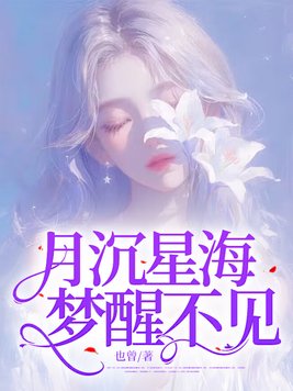 《月沉星海，梦醒不见》官方封面