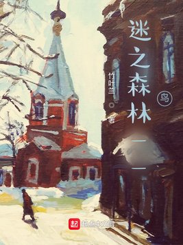 《迷之森林——鸟》官方封面