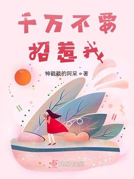 《千万不要招惹我》官方封面