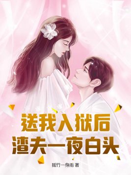 《送我入狱后，渣夫一夜白头》官方封面