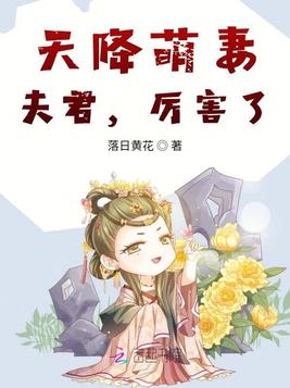 《天降萌妻：夫君,厉害了》官方封面