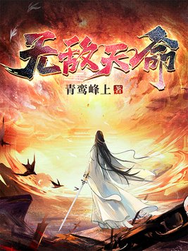 《无敌天命》官方封面