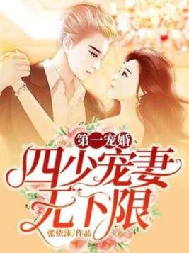 《第一宠婚：四少宠妻无下限》官方封面